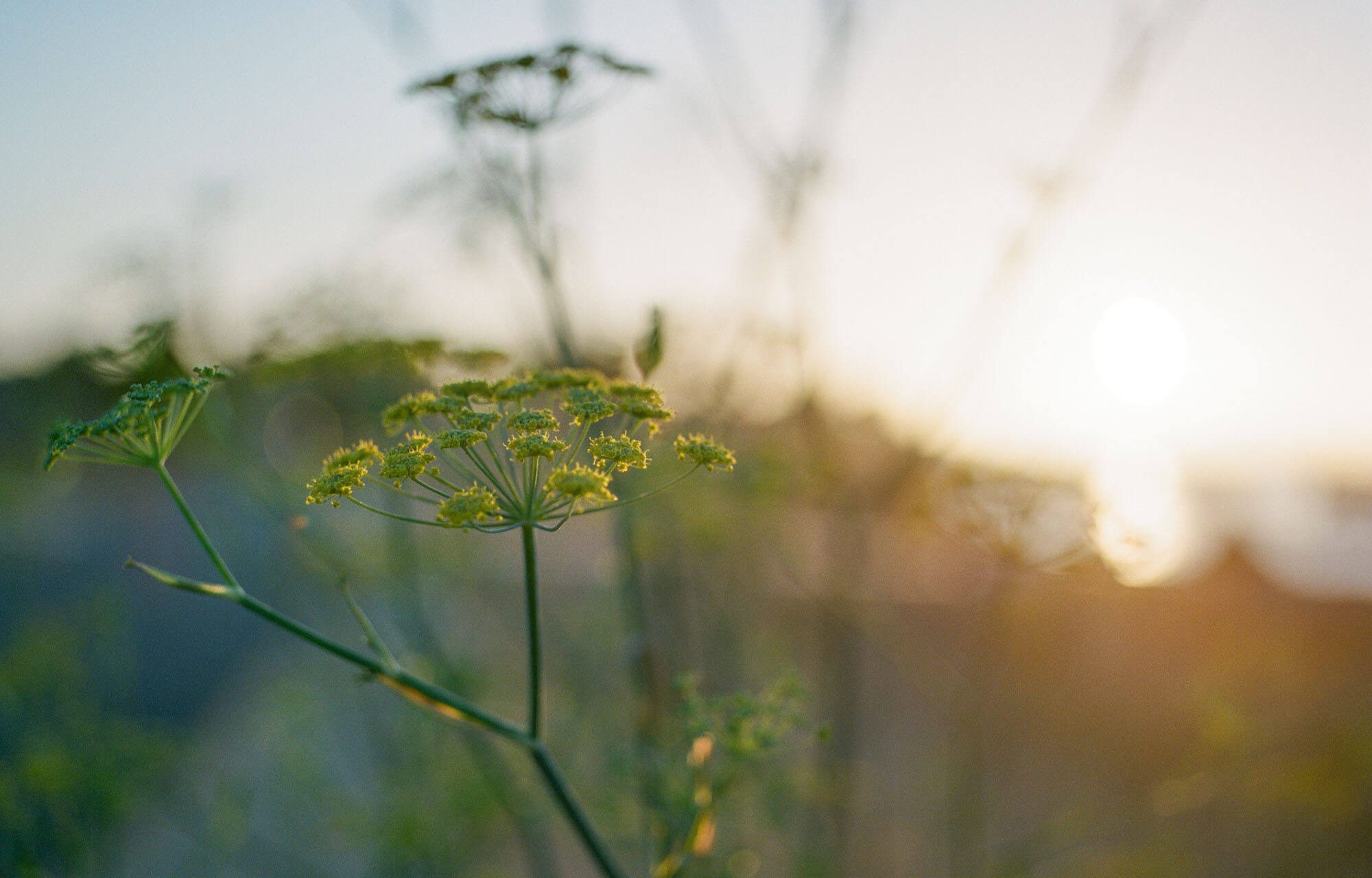 coaching-9 Dance and Drum München jeden Dienstag in Bogenhausen