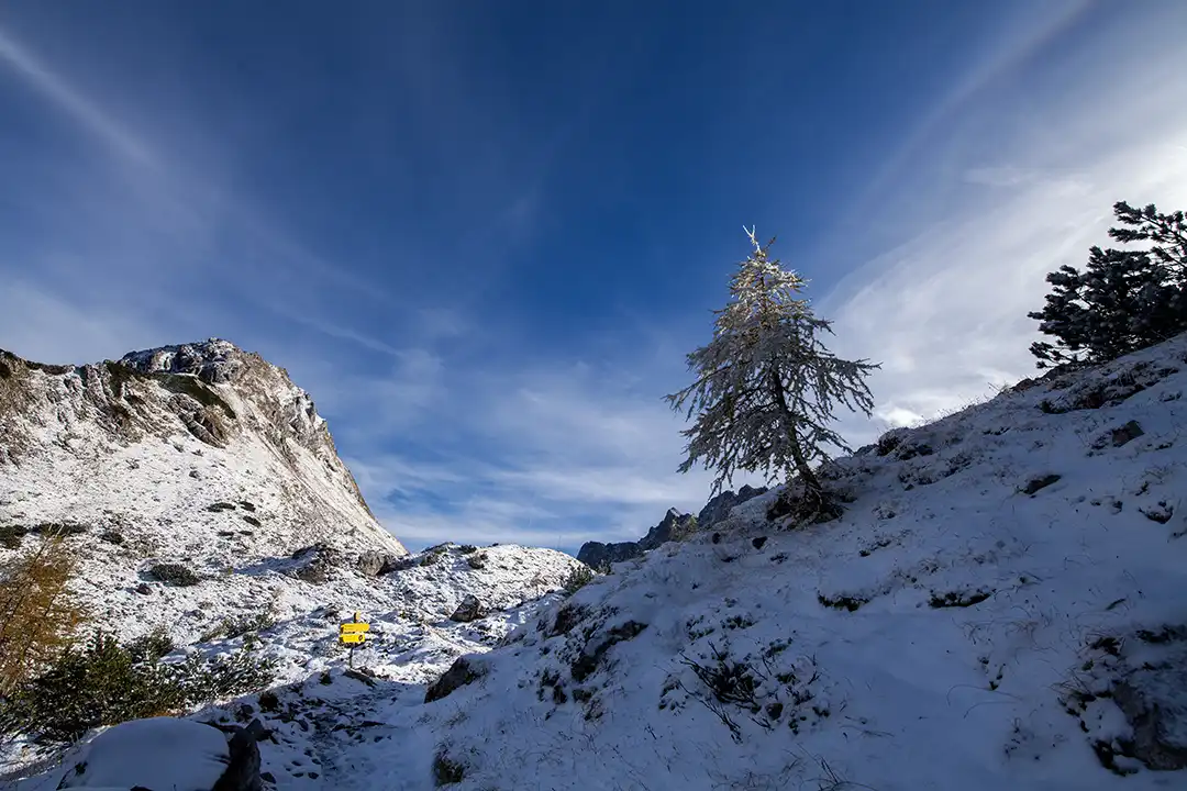 natursprechstunde-gipfelglück-c-birgitmwidmann Gipfelglück im Winter