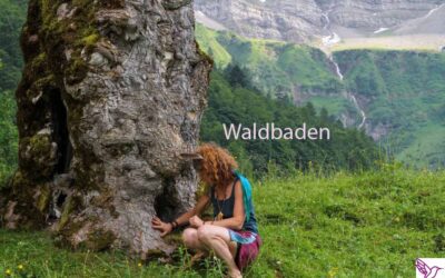 Studien belegen: 20% leistungsfähiger nach Aufenthalt in der Natur