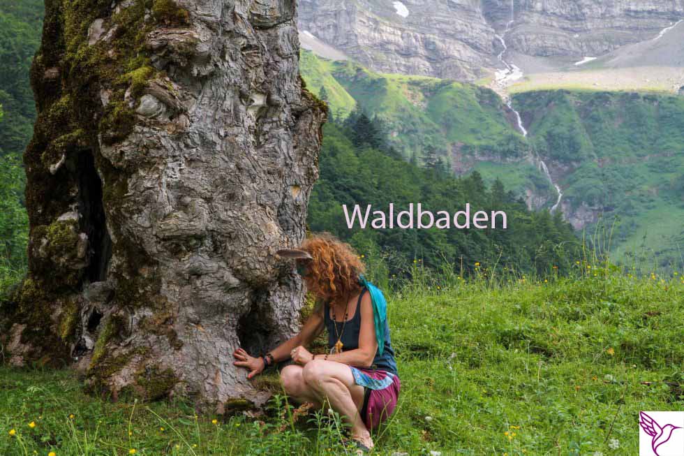 Studien belegen: 20% leistungsfähiger nach Aufenthalt in der Natur